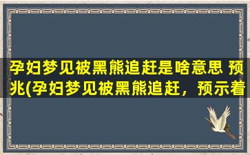 孕妇梦见被黑熊追赶是啥意思 预兆(孕妇梦见被黑熊追赶，预示着什么？)